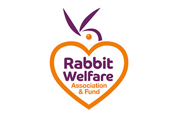 iLECSYS supports the Rabbit Welfare Association and Fund