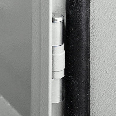 NSYAEDH120S3D Replacement Door Hinge for Spacial S3D Enclosures Set of One (Hinge &amp; Pin)