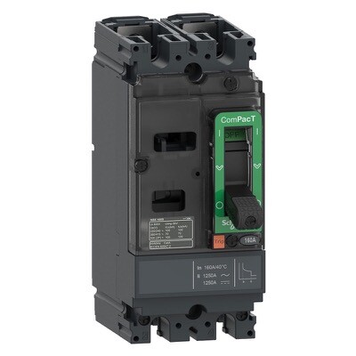 C10M2TM100 Schneider Circuit Breaker ComPacT NSX100M AC/DC 25kA at 415VAC TMD Trip Unit 100A 2 Poles 2d