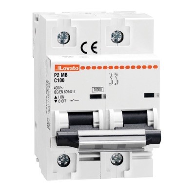 P2MB2PC080 Lovato Electric P2MB Double Pole MCB C Curve 80A