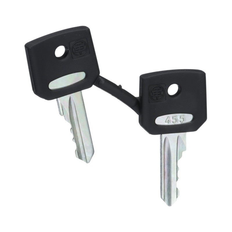 ZBG455 Schneider Electric Harmony Set of 2 Keys Number 455 