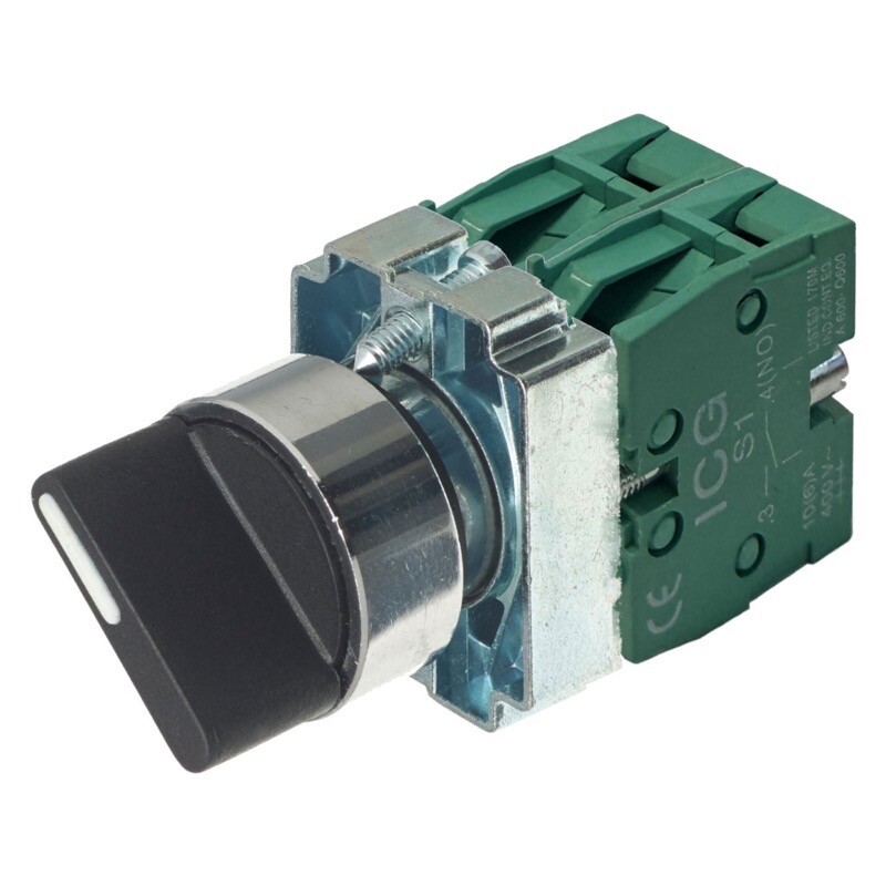 PB-2P ICG 2 Position Selector Stayput with 2 NO Contacts