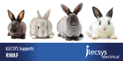 iLECSYS Supports the Rabbit Welfare Association &amp; Fund